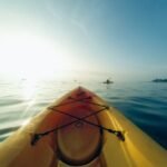 Technique Offers Hope for Cystic Fibrosis Treatment