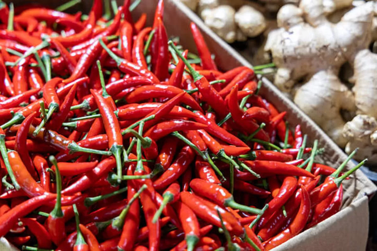 PIHPS: Harga Cabai Rawit Merah Tembus Rp76.400 per Kg