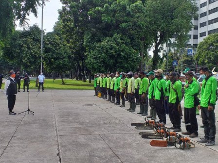 Ribuan Pohon di Jakpus Dipangkas untuk Cegah Tumbang