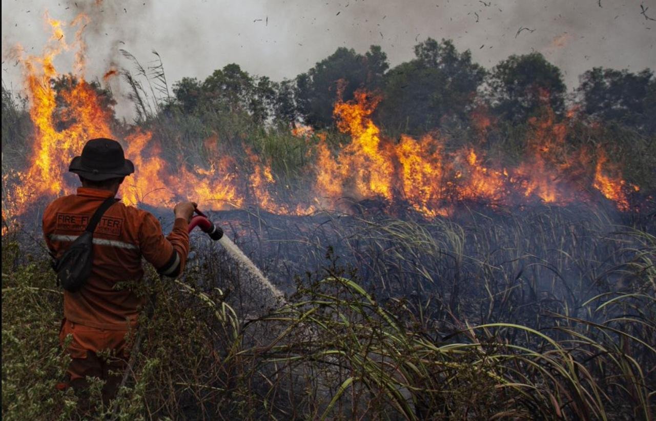 BMKG: Kaltim Rawan Karhutla, Terpantau 151 Titik Panas