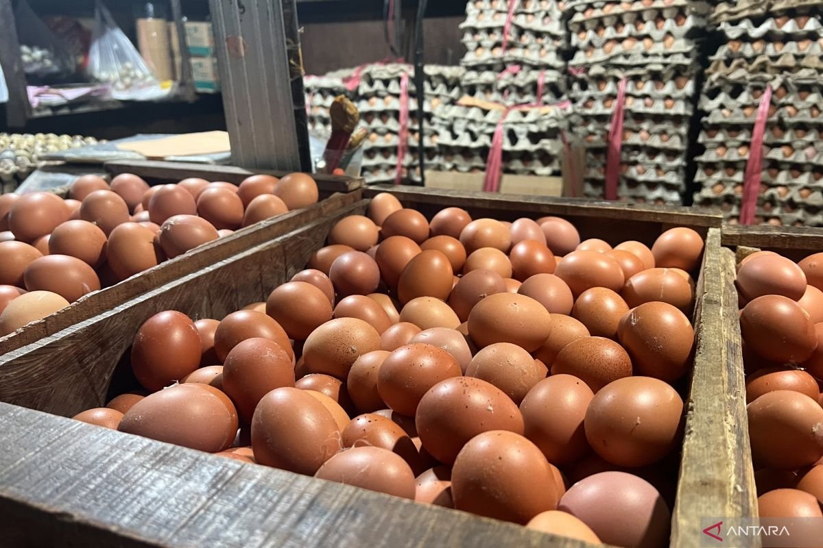 Harga Cabai Rawit hingga Telur Ayam Hari Ini, Ini Rinciannya