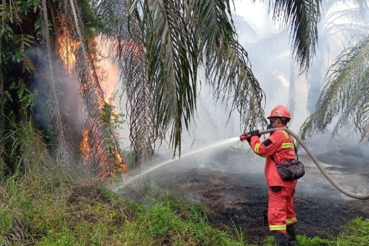 Cuaca Ekstrem Jadi Kendala Pemadaman Kebakaran Lahan di Siak