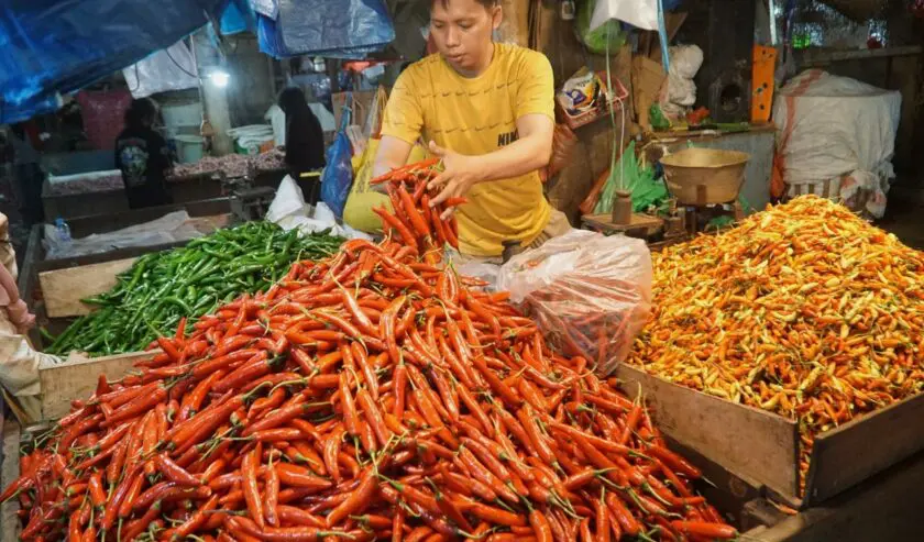 Harga Pangan 13 Juli 2026: Cabai Rawit Rp57.250/Kg, Telur Ayam Rp28.600/Kg